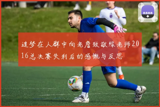 追梦在人群中向老詹致敬绿老师2016总决赛失利后的感慨与反思