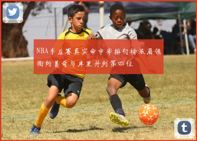 NBA季后赛真实命中率排行榜浓眉领衔约基奇与库里并列第四位